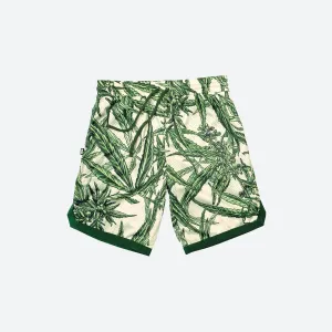 Botany Jersey Shorts