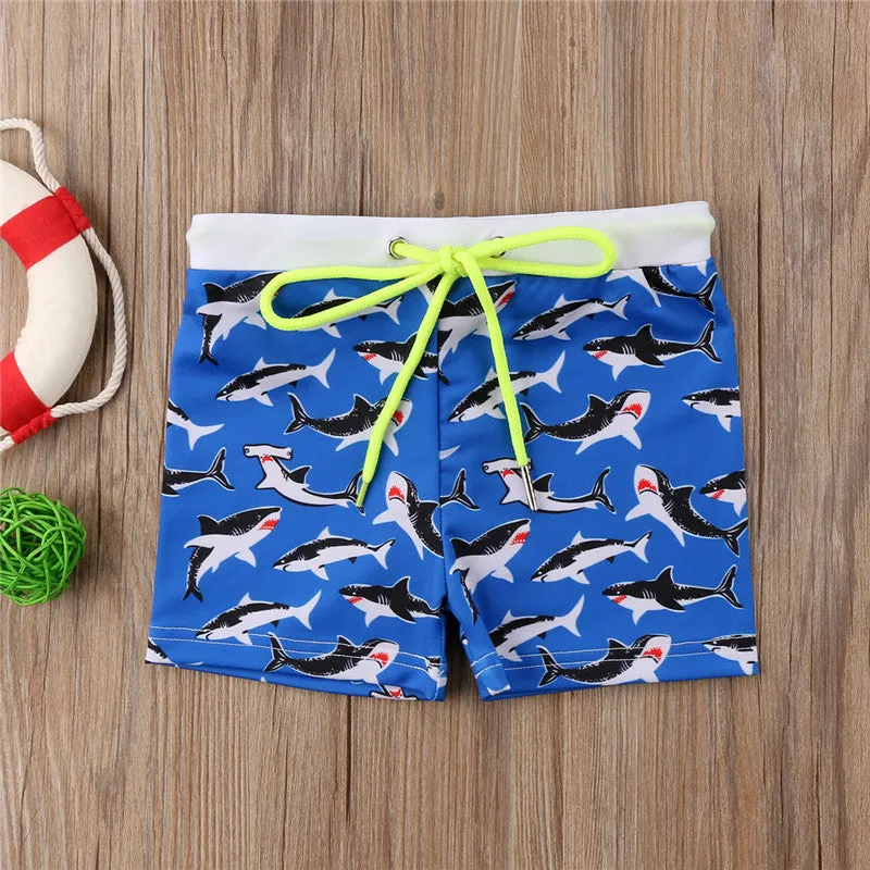 Boys Swim Shorts Swimwear:  Sharks