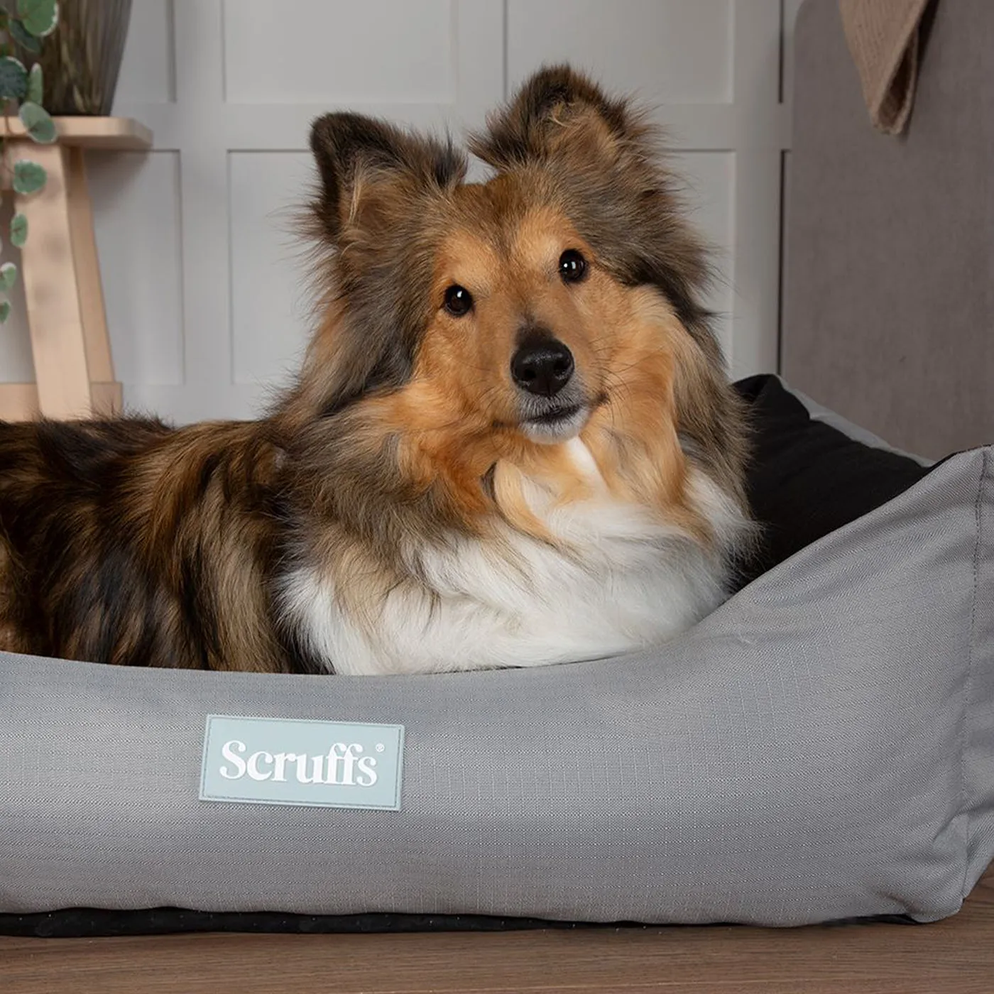 Scruffs Expedition Box Bed