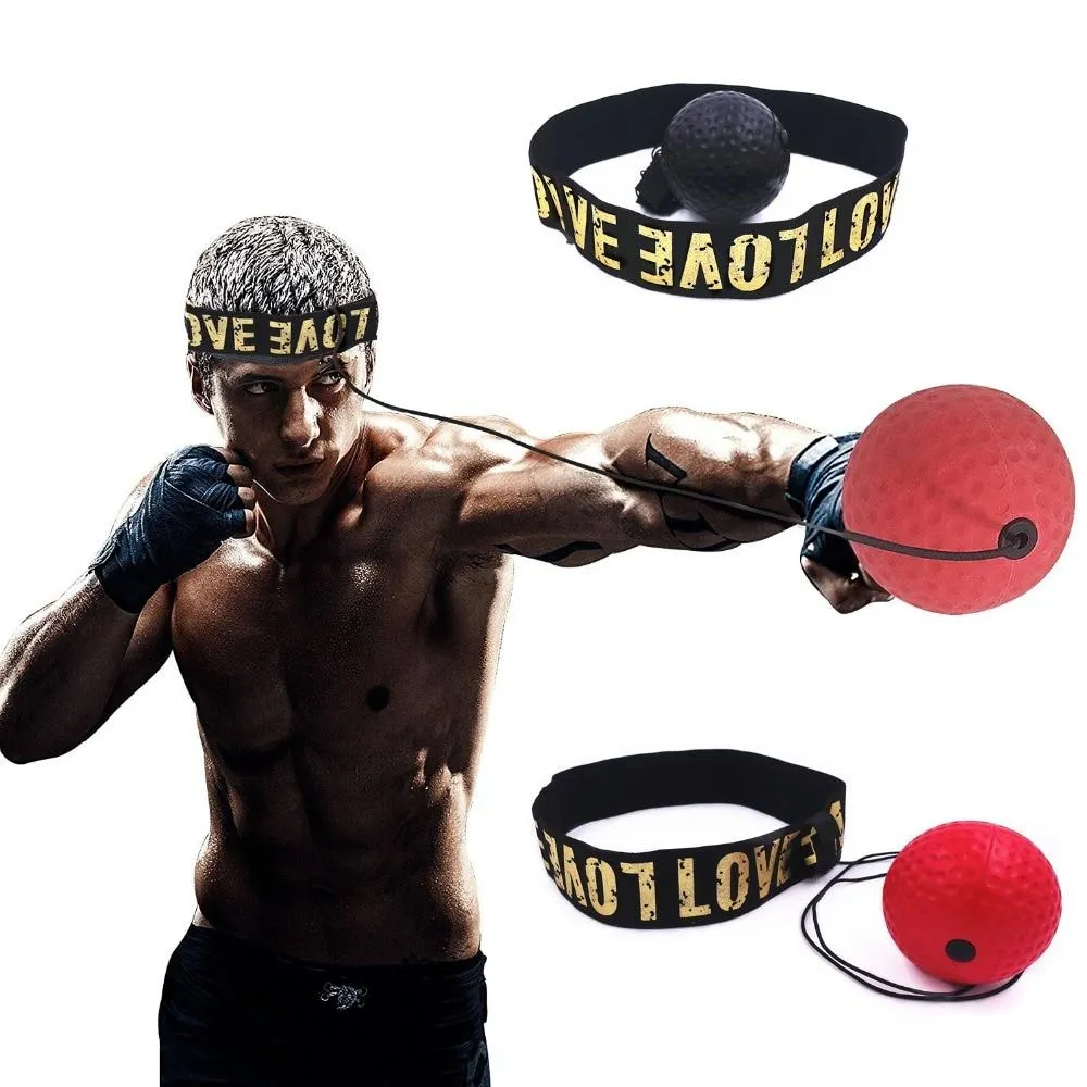 Workout Punching Ball